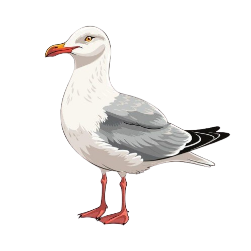 Illustration de mouette de couleur unie dessinee a la main vecteur premium genere a base d ia removebg preview